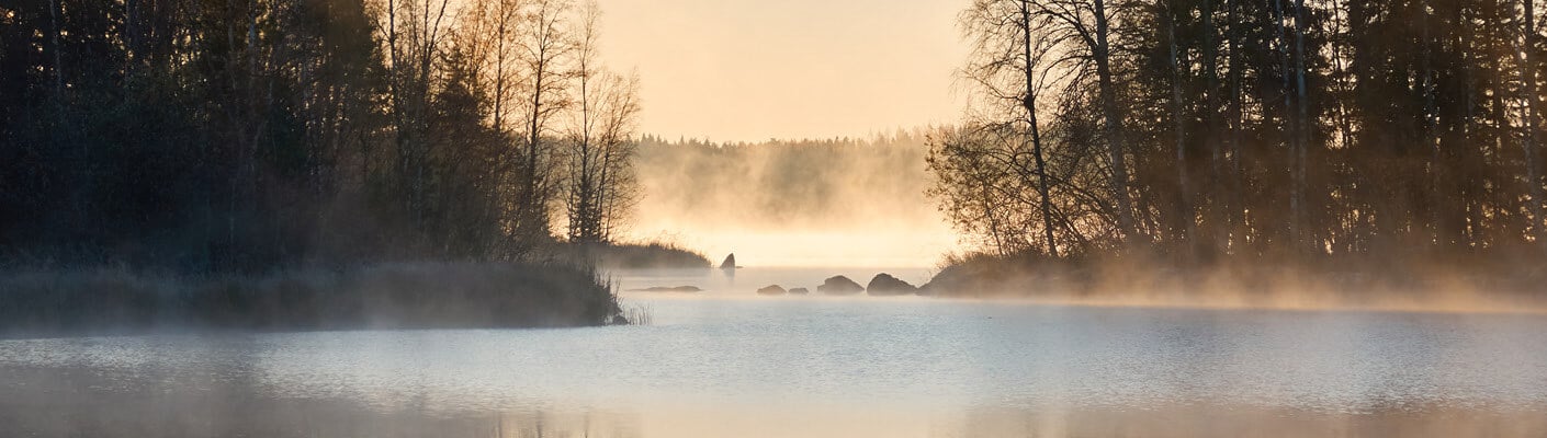 header website_1410x400_sustainabilty